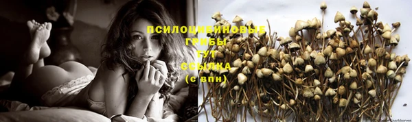 дурь Новозыбков