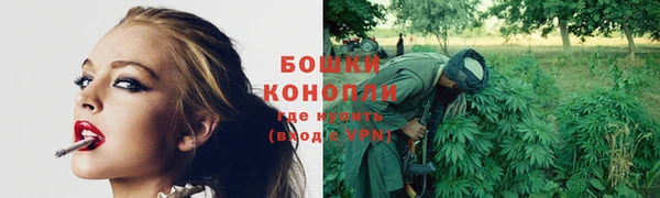 дурь Новозыбков