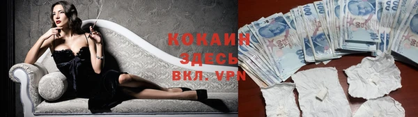 таблы Новодвинск