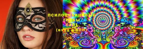 дурь Новозыбков