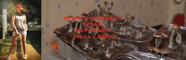 дурь Новозыбков