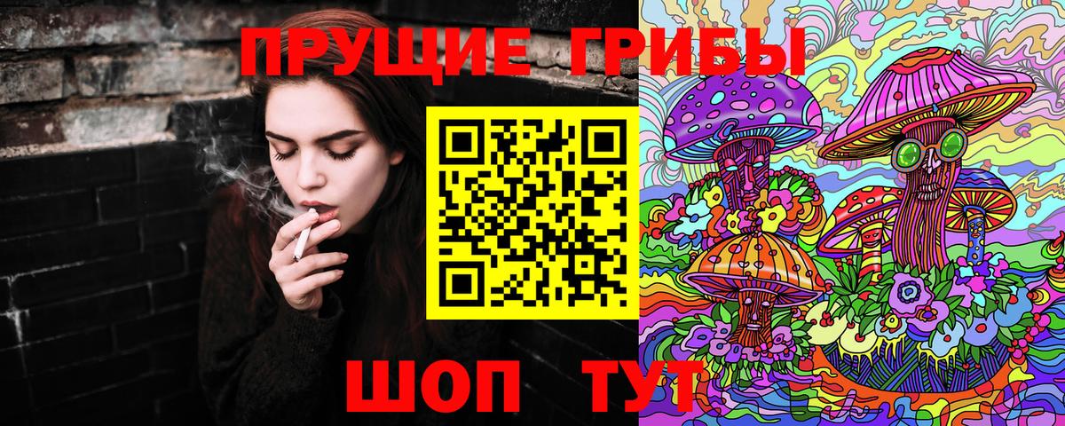 Галлюциногенные грибы Cubensis  купить   Урус-Мартан  Псилоцибиновые грибы Magic Shrooms  Вход с VPN 